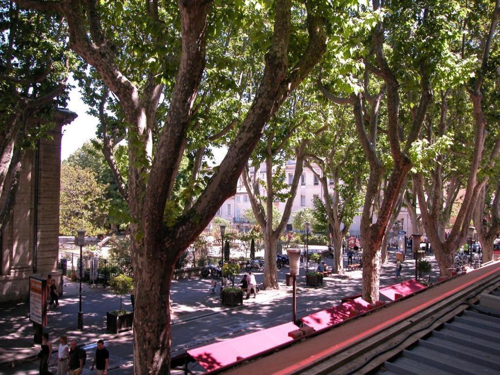 אביניון Hotel Alizea מראה חיצוני תמונה