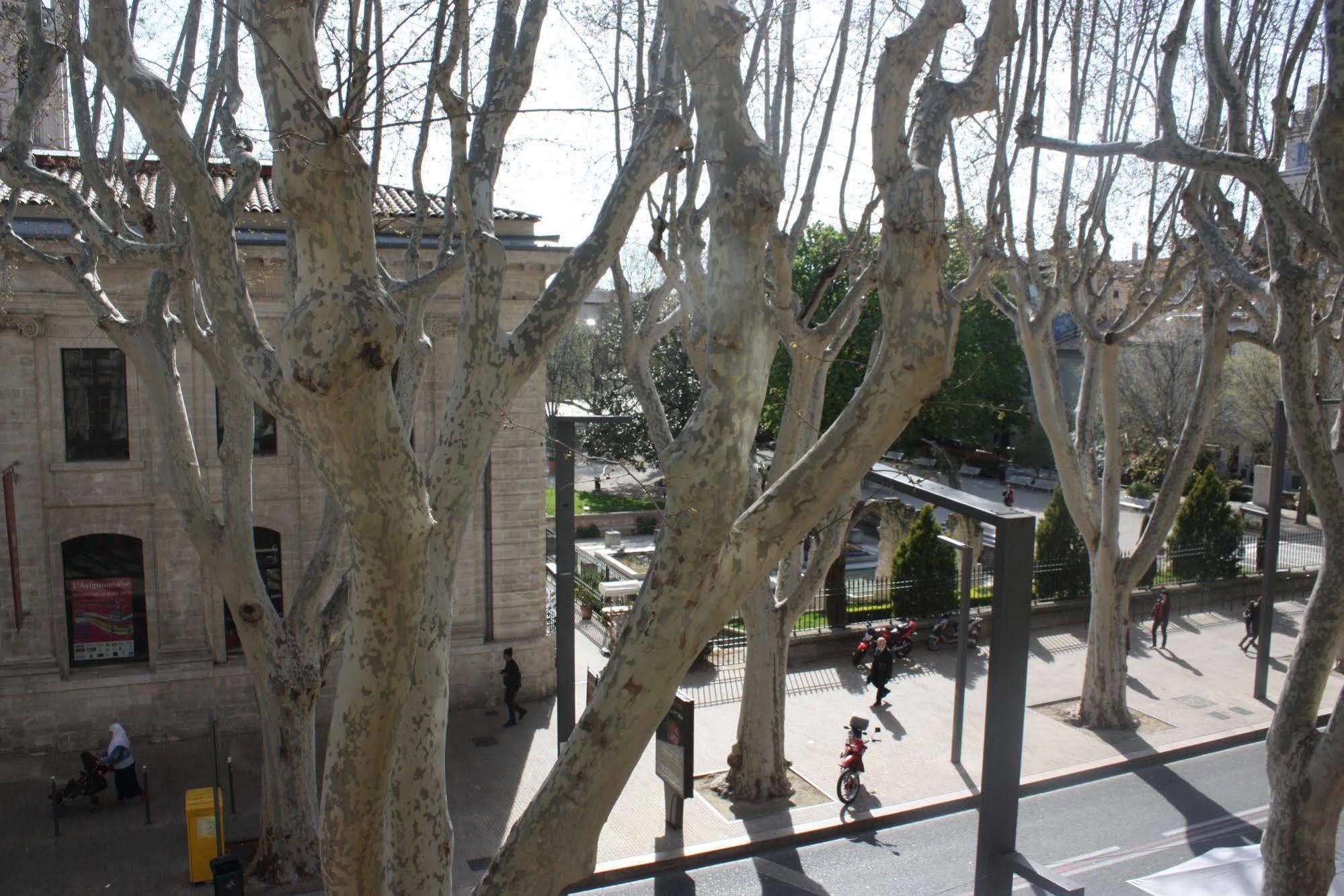 אביניון Hotel Alizea מראה חיצוני תמונה